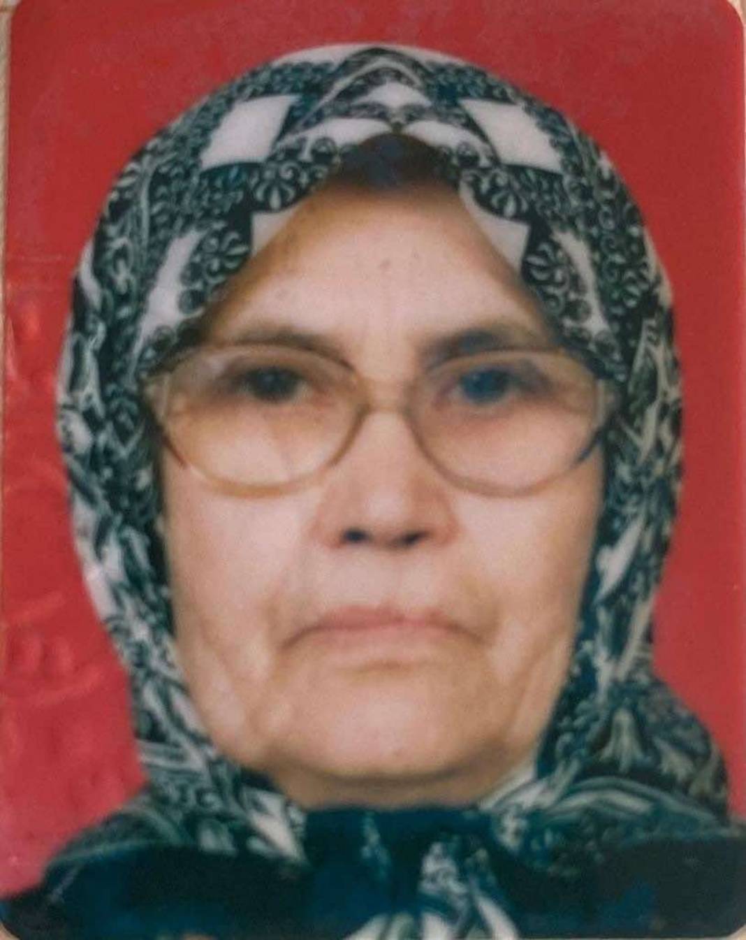 Kendimi öldüreceğime çocuklarımı öldürdüm! Eşi ve oğlunu öldüren 86 yaşındaki emekli askerin ifadeleri kan dondurdu! 21